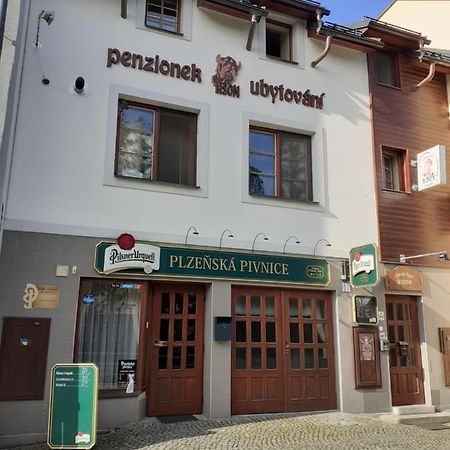 Ubytovani Nad Bisonem Hlinsko Exterior foto